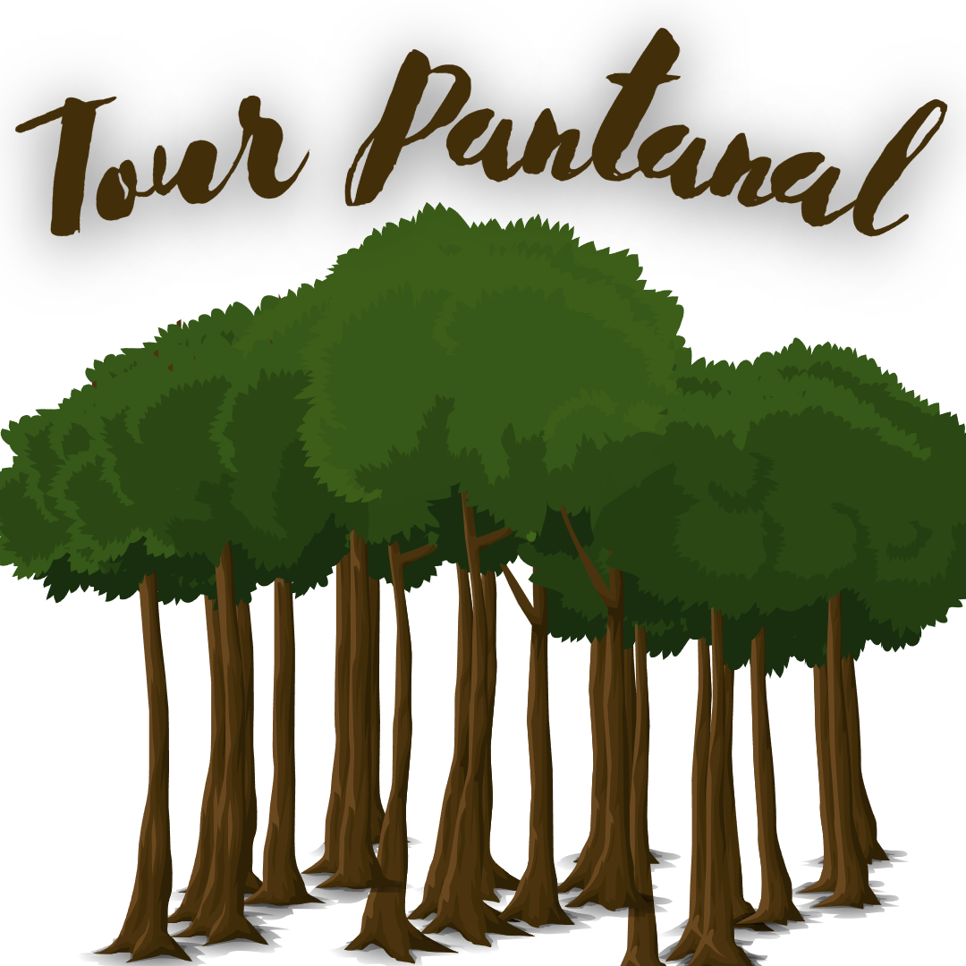 Tour Pantanal